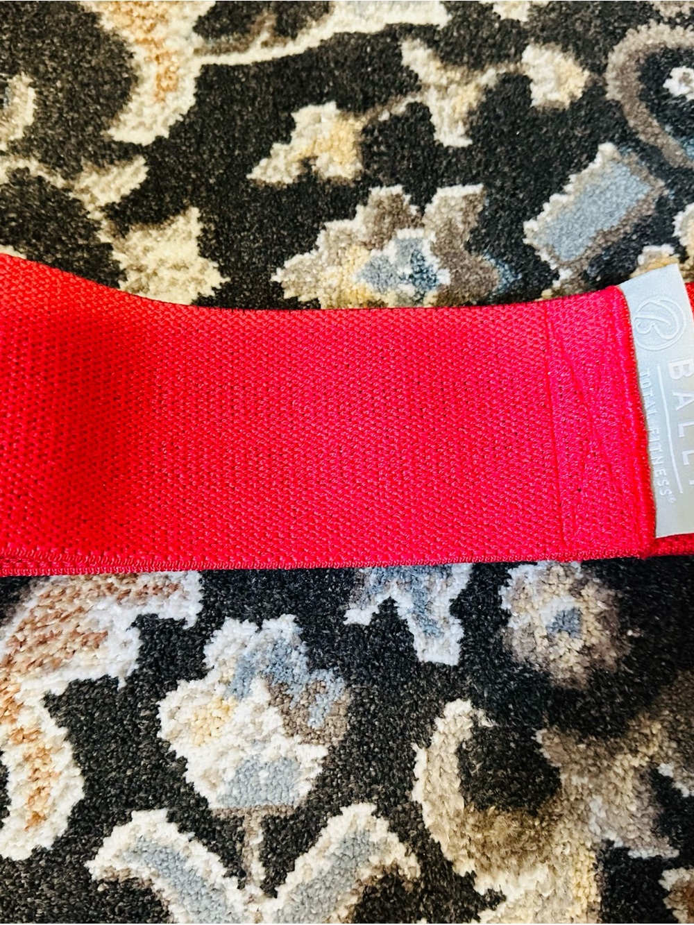 Bally Total Fitness Booty Band